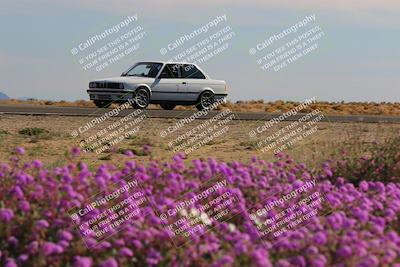 media/Jan-08-2023-SCCA SD (Sun) [[8f6a5b9391]]/Intermediate Group/Session 2 (Short Straight)/